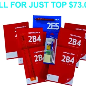 'APIFO'OU COLLEGE BTS PACK 2024 FORM 3 & 4