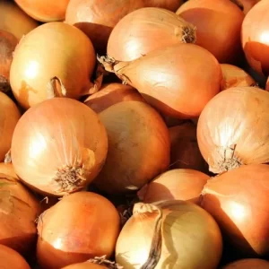 Onion per kg