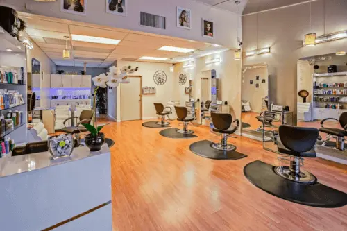 Hair Salon demo